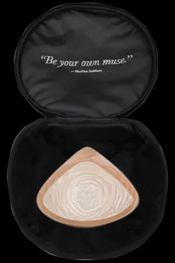 breast-prosthesis-case