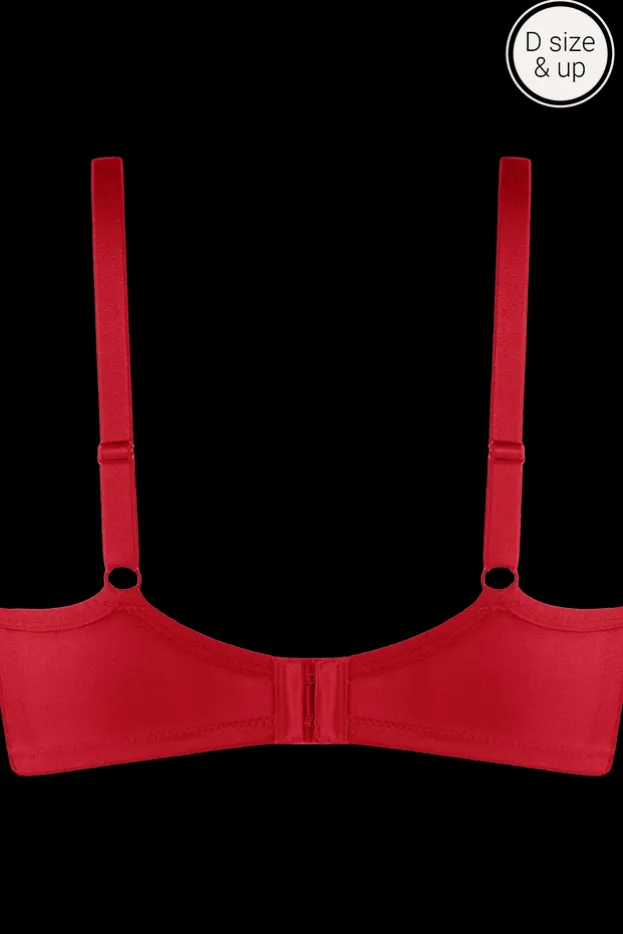 dame-de-paris-care-bra