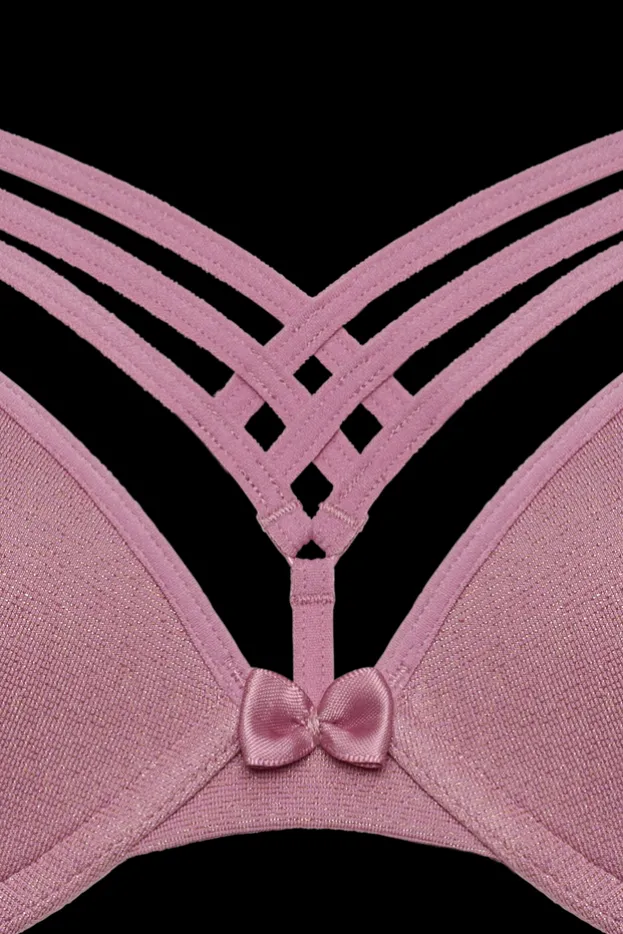 dame-de-paris-push-up-bra
