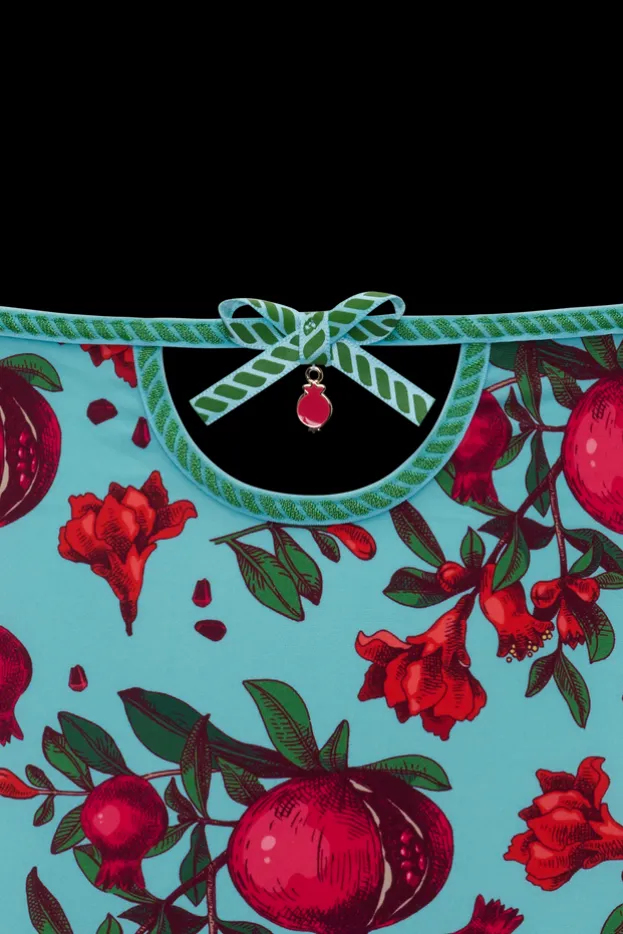 forbidden-fruit-high-waist-briefs