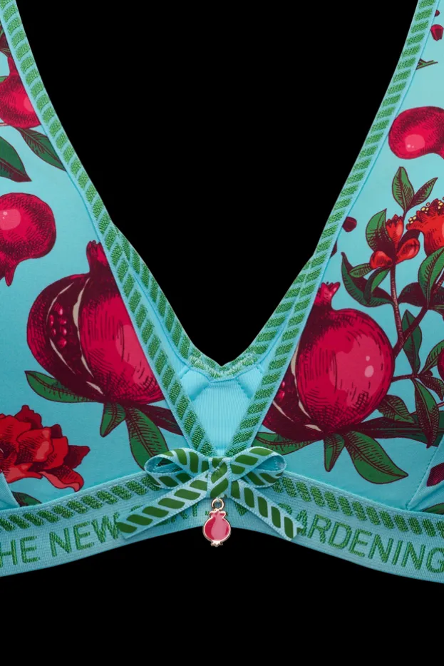 forbidden-fruit-push-up-bra