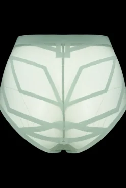 the-illusionist-high-waist-briefs