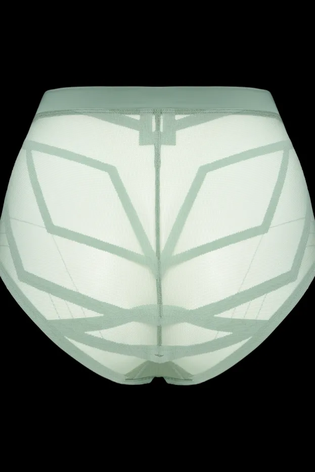 the-illusionist-high-waist-briefs