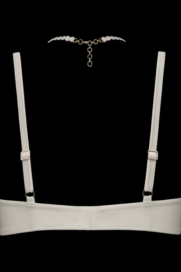 the-mauritshuis-plunge-balcony-bra