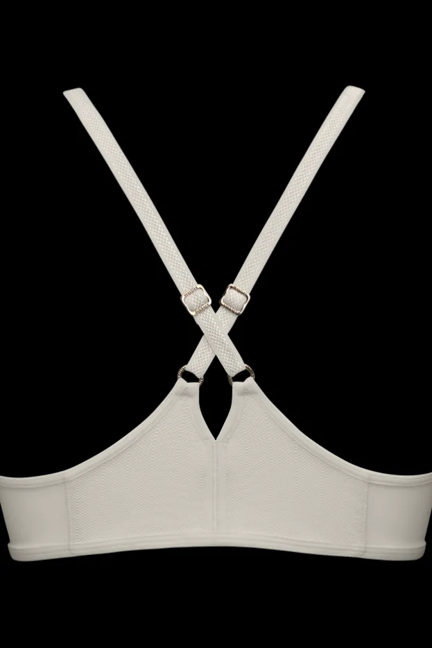 the-mauritshuis-push-up-bra