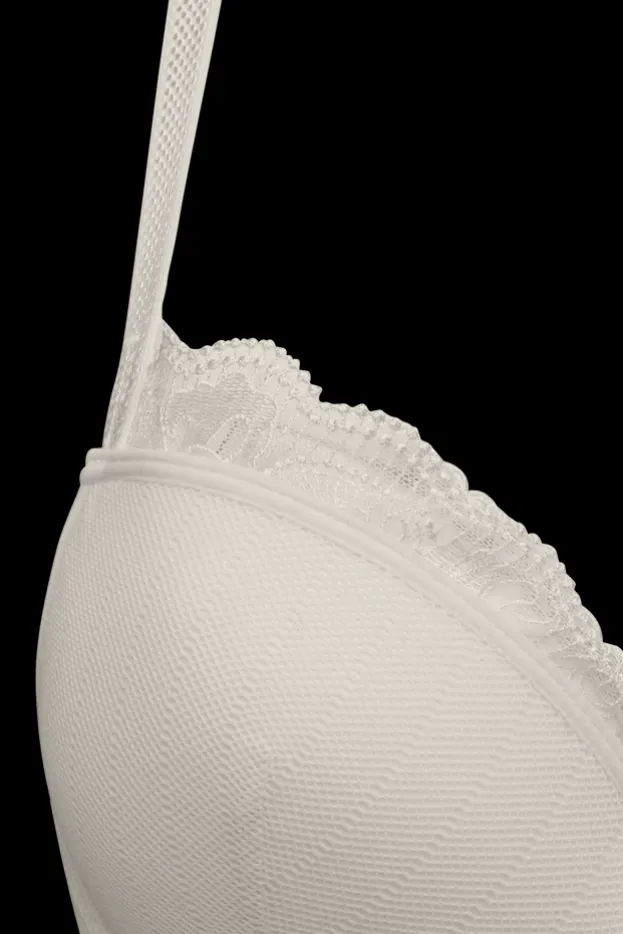 the-mauritshuis-push-up-bra