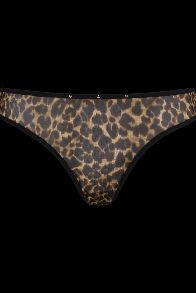vixen-5-cm-briefs